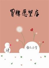 冒牌愿望店txt免费下载